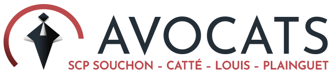 Avocat souchon logo2bis 300w
